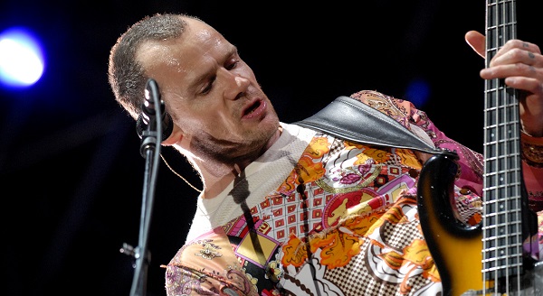 flea