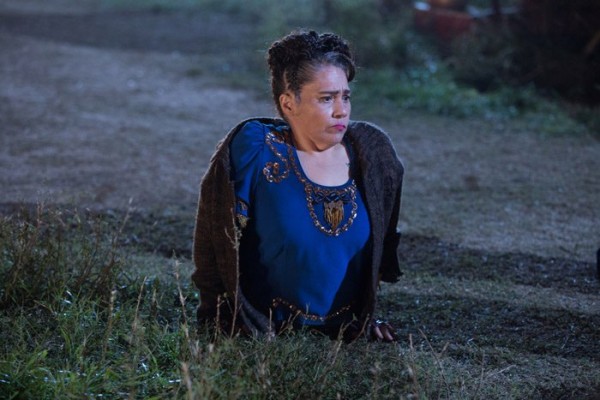 rose siggins