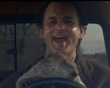bill murray