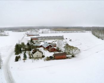 Repolan kylässä näkyy maaseudun murros. Kaikki lehmät ovat robottinavetassa ja viimeinen sikatila on lopettamassa. Nuoret etsivät keinoja jatkaa maaseudulla, mutta mistä löytää morsian pieneen kylään. O: Tom Östling.
Yle Kuvapalvelu
