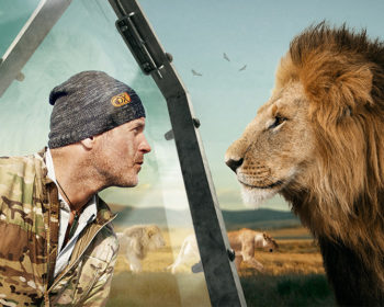 predators-discoveryuk-com-homepage-carousel