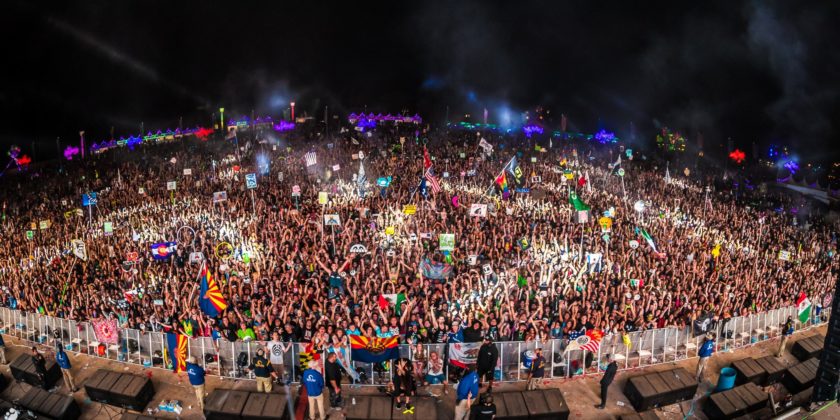 nocturnal wonderland