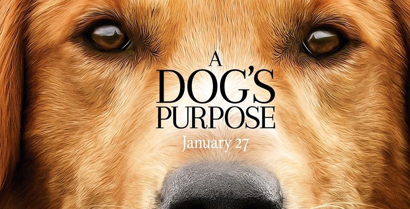 A Dog’s Purpose