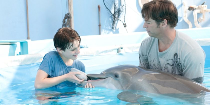 Delfiinitarina
Tositapahtumiin perustuva koko perheen elokuva pojan ja delfiinin ystävyydestä. Winter-delfiini joutui jouluna 2005 rapuansaan Floridan rannikolla ja menetti pyrstönsä. Siitä alkoi Winterin huikea pelastustarina. Ohjaus: Charles Martin Smith, USA 2011 (113'). Pääosissa Morgan Freeman, Ashley Judd, Harry Connick Jr. ja Kris Kristofferson. 
MTV3
28.1. klo 13:00