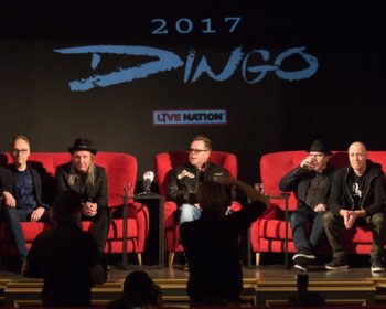 dingo-press-5