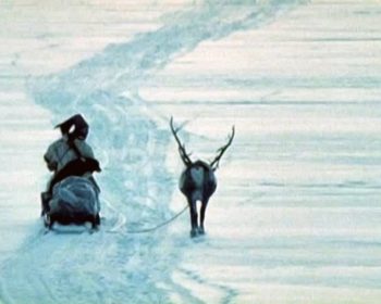 (1982) Markku Lehmuskallion elokuva enontekiöläisestä poromies-Niilasta ja saamelaisten elinympäristöstä muutoksen ajassa ja ahdingossa. Ensimmäinen osittain saamenkielinen näytelmäelokuva Suomessa. N: Jouni S. Labba.
Yle Kuvapalvelu