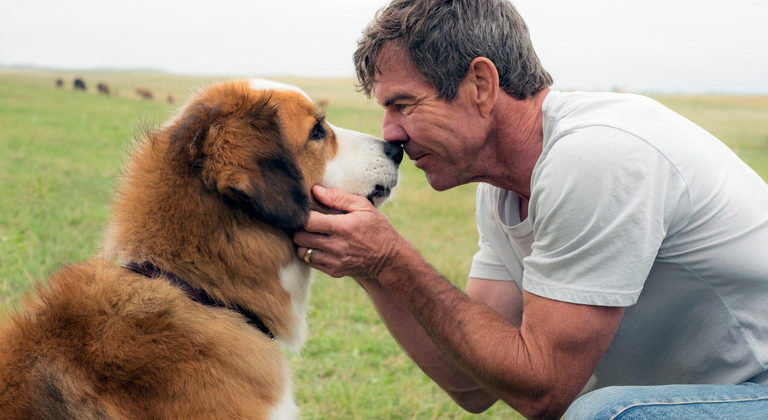 dog's purpose