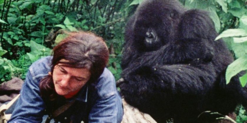 Dian Fossey